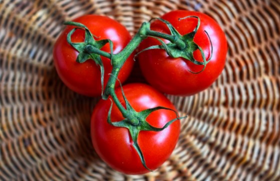 Del Fuerte: productos de calidad para enriquecer cada comida