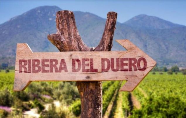 La Ruta del Vino Ribera del Duero recibirá 1,8 millones de euros de inversión para impulsar el enoturismo