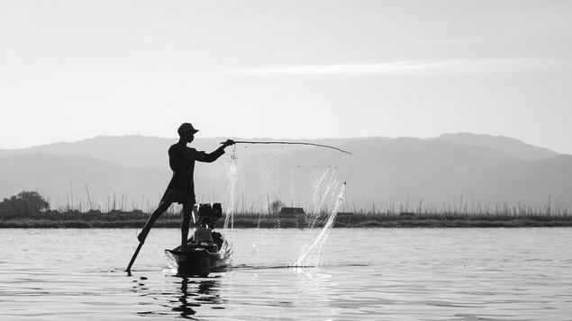 Fishingrival Casino: la emoción de la pesca y las apuestas