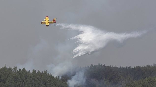Cómo reclamar si estás afectado por los incendios forestales