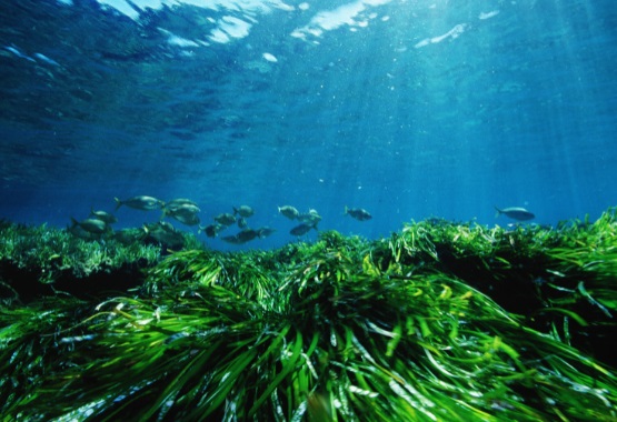 Las Islas Baleares cierran 2021 con 46 proyectos sostenibles finalizados gracias a la recaudación de la tasa turística