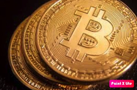 Efectos del Bitcoin: Generación Quit
