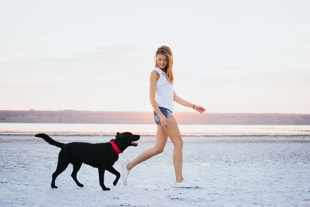 La mitad de los españoles no encuentra cuidador para su perro durante las vacaciones