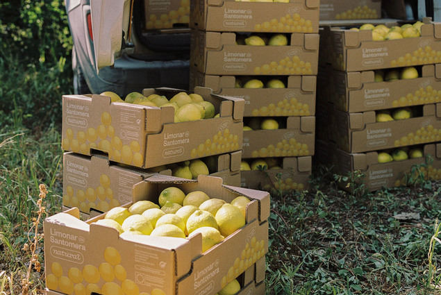 Limonar de Santomera se lanza a la conquista mundial con más de 50.000 toneladas de cítricos