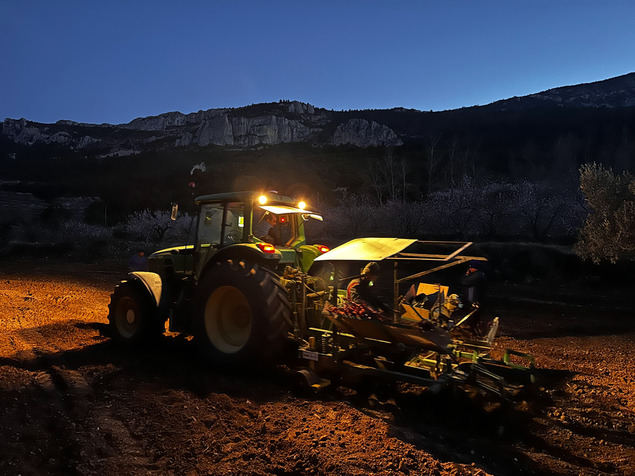 MASOS recupera 10’5 hectáreas con su nueva plantación en el Valle de Guadalest, después de 100 años
