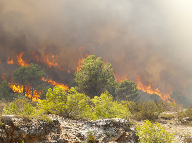 El riesgo de incendios forestales se multiplicará por tres