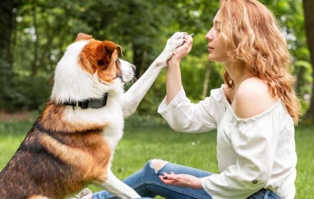 Aterriza en España 'Préstame tu perrito'