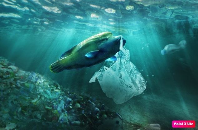 Urge avanzar en regulaciones más específicas para reducir los plásticos