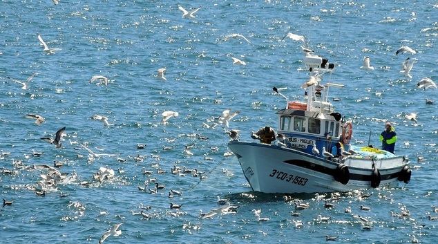 Nueve de cada diez espanoles quieren que las empresas del sector pesquero lideren politicas contra la contaminacion de mares y oceanos