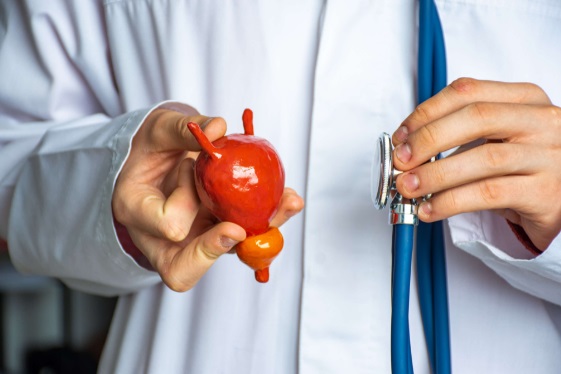 El 95% de los hombres reclama a Sanidad un programa de detección precoz del cáncer de próstata