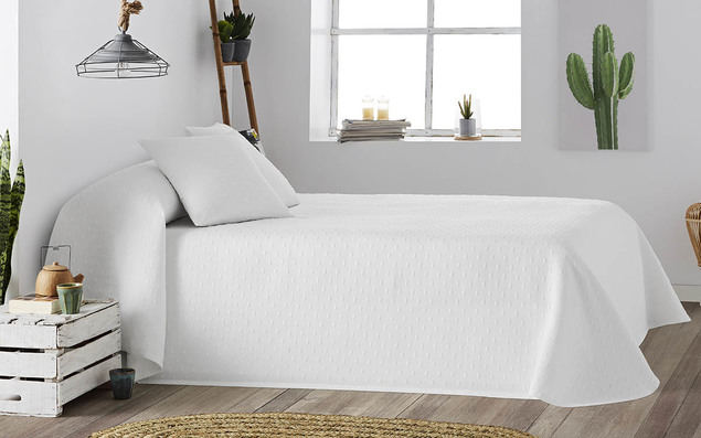 La Novena Nube celebra su 14 aniversario