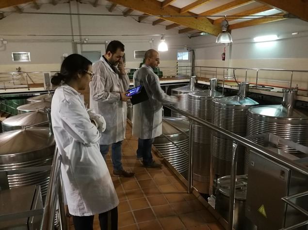 El proyecto de I+D Restasteled logra combatir el gusto de luz en los vinos aplicando tecnología LED y desarrollando nuevos itinerarios de elaboración