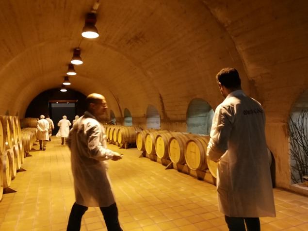 El proyecto de I+D Restasteled logra combatir el gusto de luz en los vinos aplicando tecnología LED y desarrollando nuevos itinerarios de elaboración