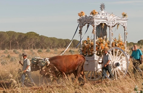 Doñana Sense. el nuevo proyecto de 30º Hotels y el Parque de Doñana