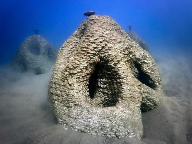 Innovación marina y desarrollo sostenible: el éxito global de Underwater Gardens International