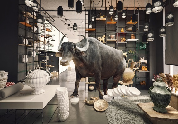 Un Bullard en una tienda de China