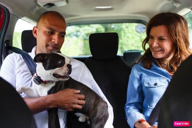 Uber Pet llega a seis nuevas ciudades en España