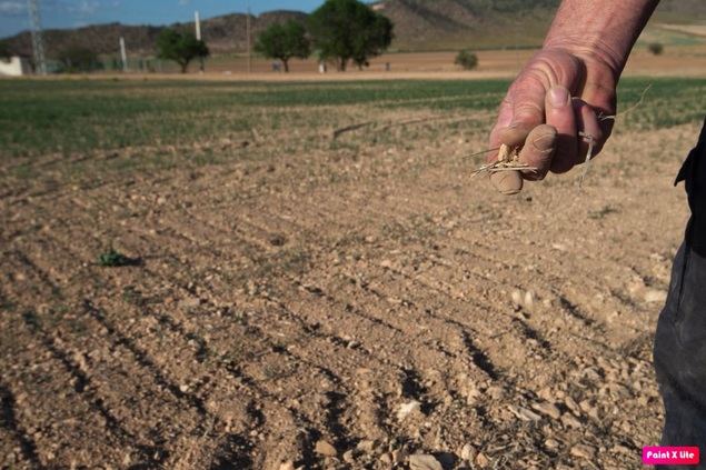 ¿Cómo afecta el cambio climático al relevo generacional de la agricultura española?