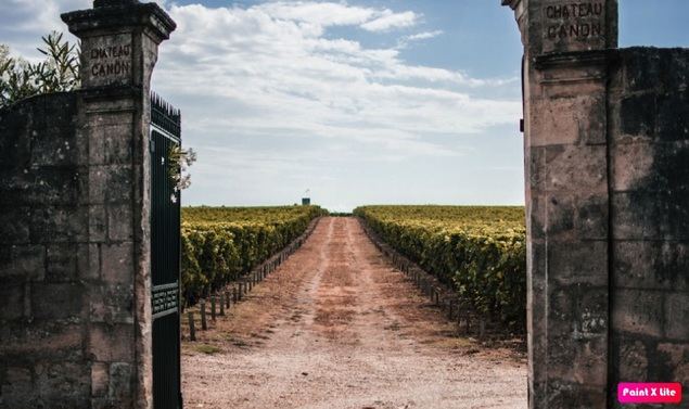 En Primeurs 2022, una añada de grandes expectativas que ha plantado cara al cambio climático