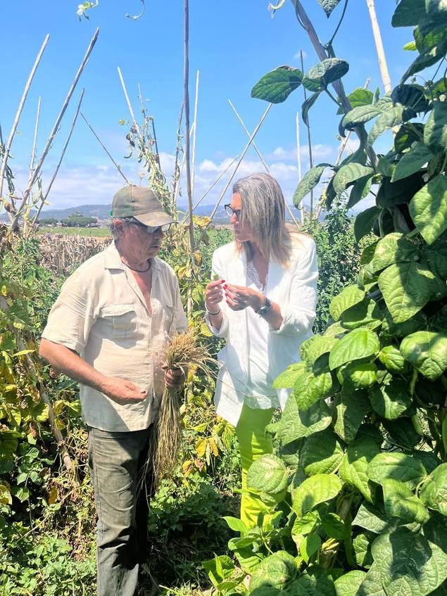 Veray (PP): “Reconoceremos por ley el sector agroalimentario como sector estratégico para la economía de nuestro país”