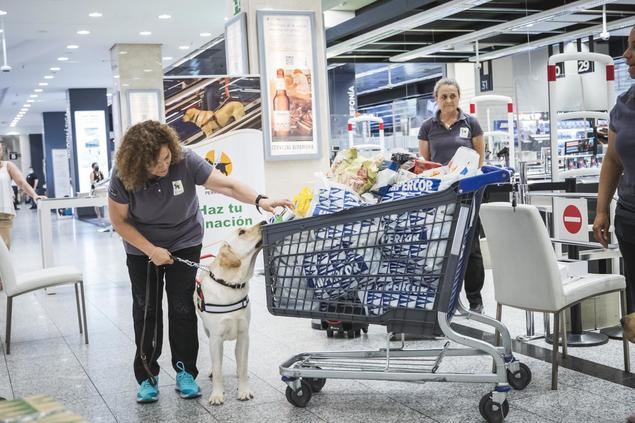 Colaboración entre El Corte Inglés y la ONCE para dar a conocer la labor de los perros guía