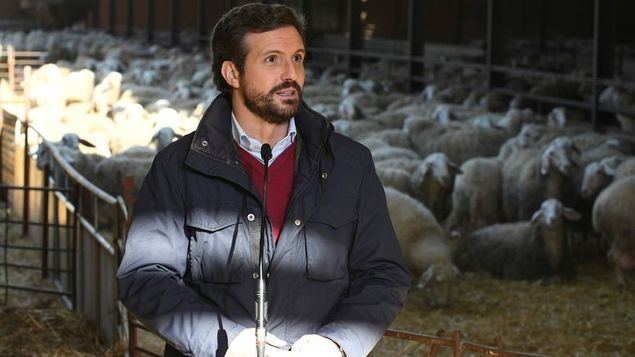 Pablo Casado, líder de la oposición.