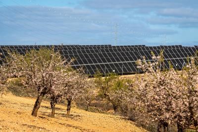 Planta de Covatillas.