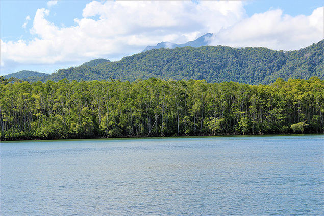 Como hacer que el turismo y los viajes recuperen la biodiversidad