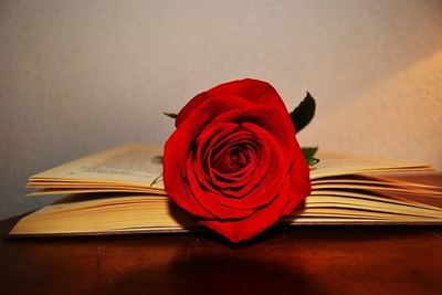 Gómez-Jurado desbanca a Isabel Allende como autor en castellano más leído del mundo