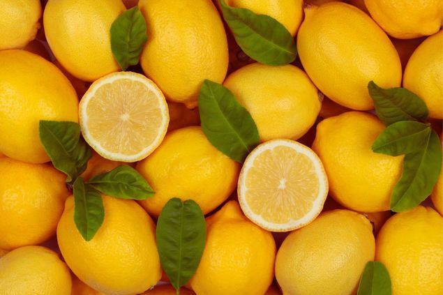 El limón argentino conquista mercados con su calidad premium