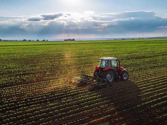 Los agricultores y el recolector de agua: una solución sostenible para la sequía