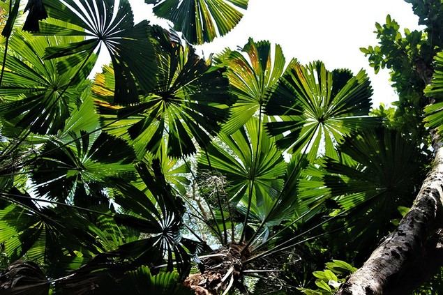 Como hacer que el turismo y los viajes recuperen la biodiversidad