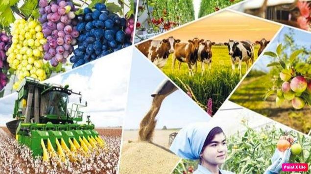 Uzbekistán sobresale en el desarrollo de su sector agrario