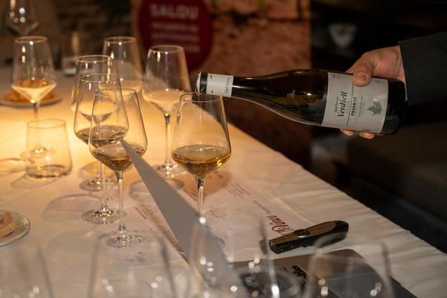 Vinos excelentes en la cata organizada en Madrid por el Ayuntamiento de Salou