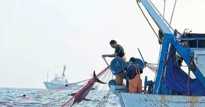 Erradicar el trabajo forzoso en la pesca exige aplicar los estándares laborales básicos de la OIT