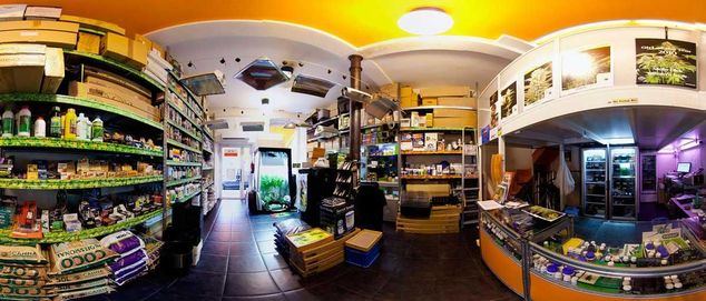 Los grow shops son un negocio completamente legal en España