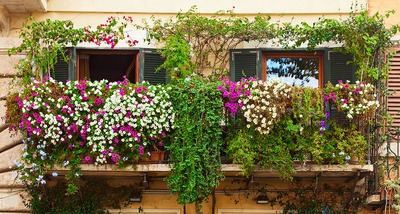 Decora exteriores con maceteros grandes