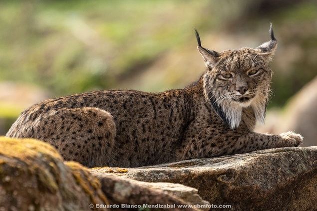 Que importante son quienes hacen un turismo pensando en la naturaleza