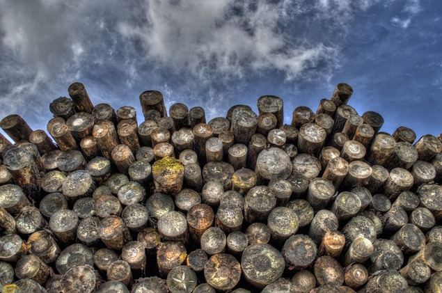 Madera, la materia prima del invierno 2022