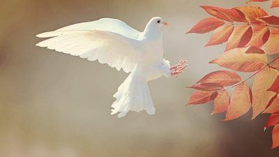La influencia de los líderes religiosos en el logro de la Paz mundial