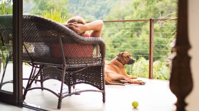 Las viviendas pet friendly, una prioridad para los españoles que se mudan al extranjero