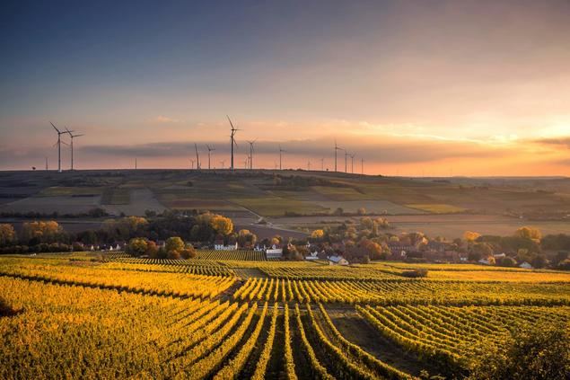 Gibanel: Referente en la modernización de la agricultura y ganadería española