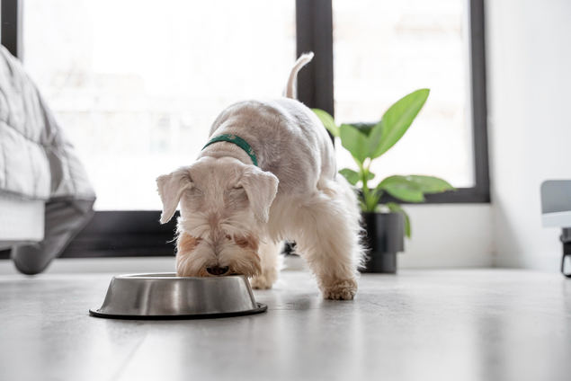 Cupón descuento Naku en comida para perros y gatos
