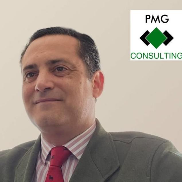 Entrevista a Pedro del Alcázar Narváez, director general de Pmg Consulting