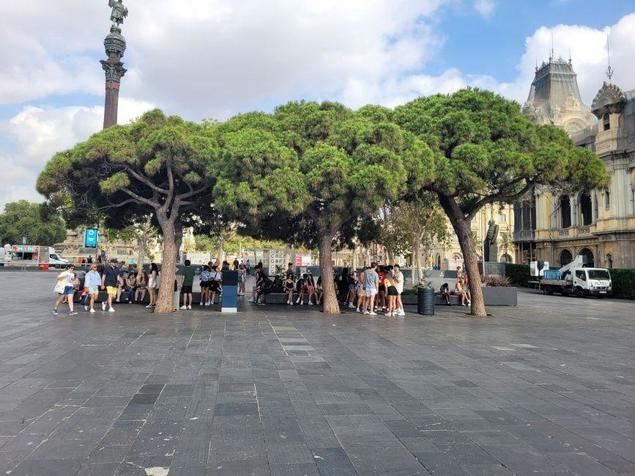 Cómo la naturaleza afecta al turismo y cuál es la respuesta