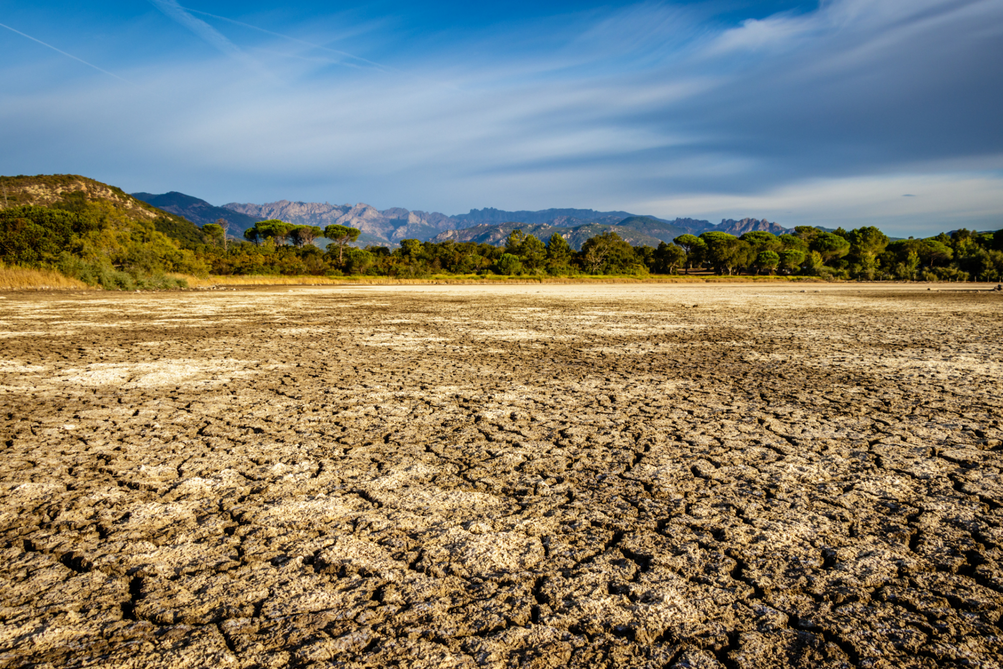 El IIDMA alerta de la falta de formación de los jueces ante el cambio climático