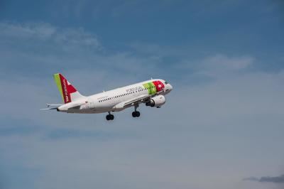 TAP Air Portugal reanudará sus vuelos a Venezuela