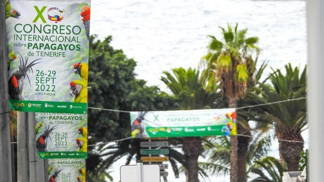 Arranca el X Congreso Internacional de Papagayos de Tenerife