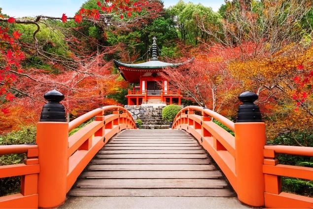 Japón en otoño, un recorrido por el país de los contrastes y el “Ky” con Europamundo