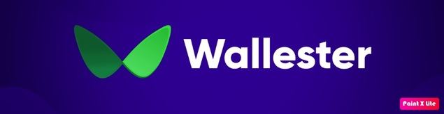 Trazando la revolución fintech: el camino de Wallester